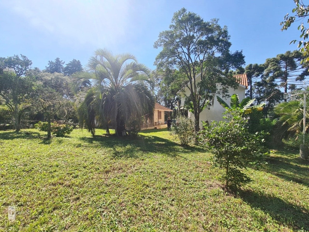 Foto do Chácara com 2 quartos no Campina das Pedras, Curitiba - foto 11