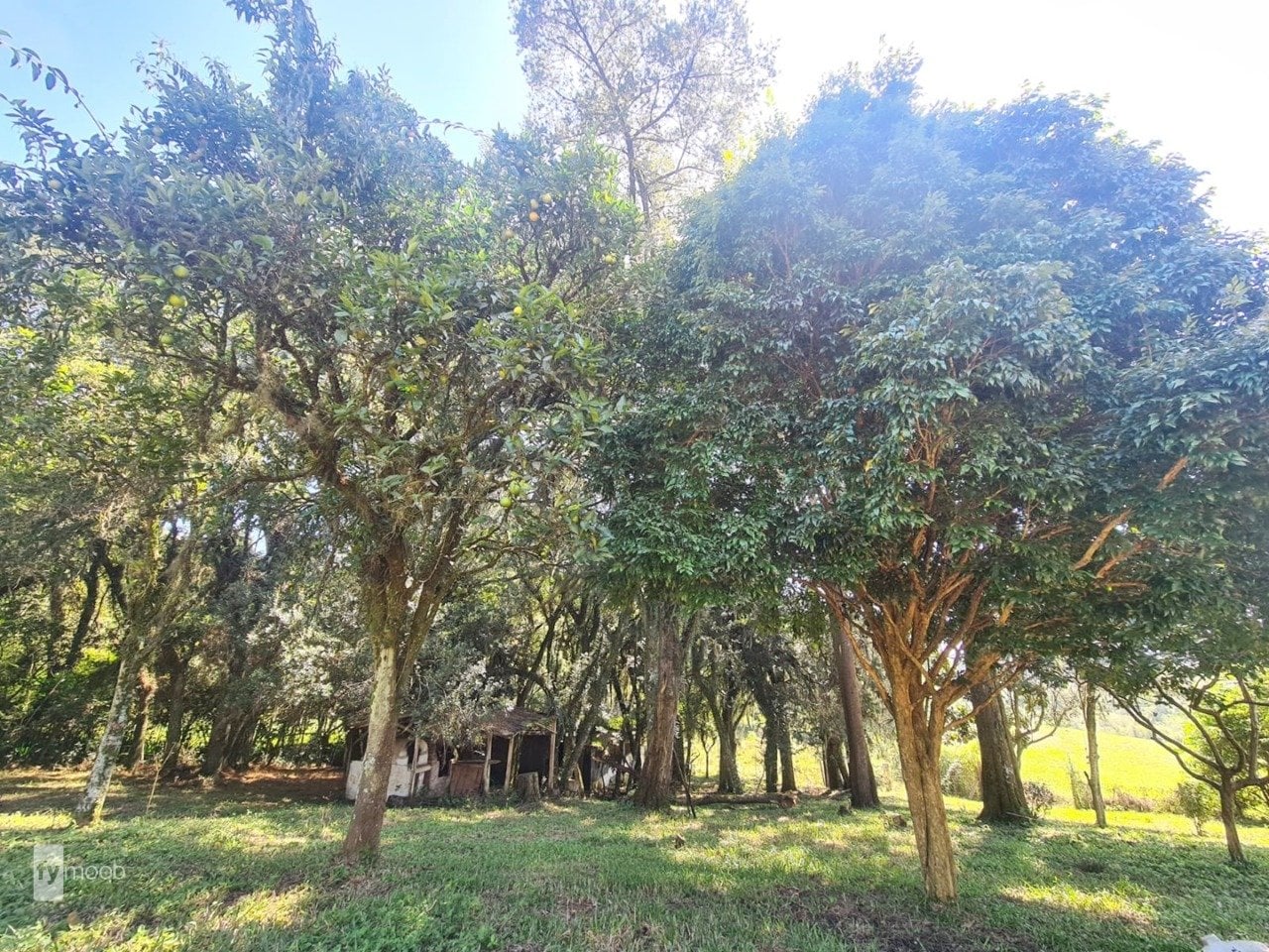 Foto do Chácara com 2 quartos no Campina das Pedras, Curitiba - foto 14