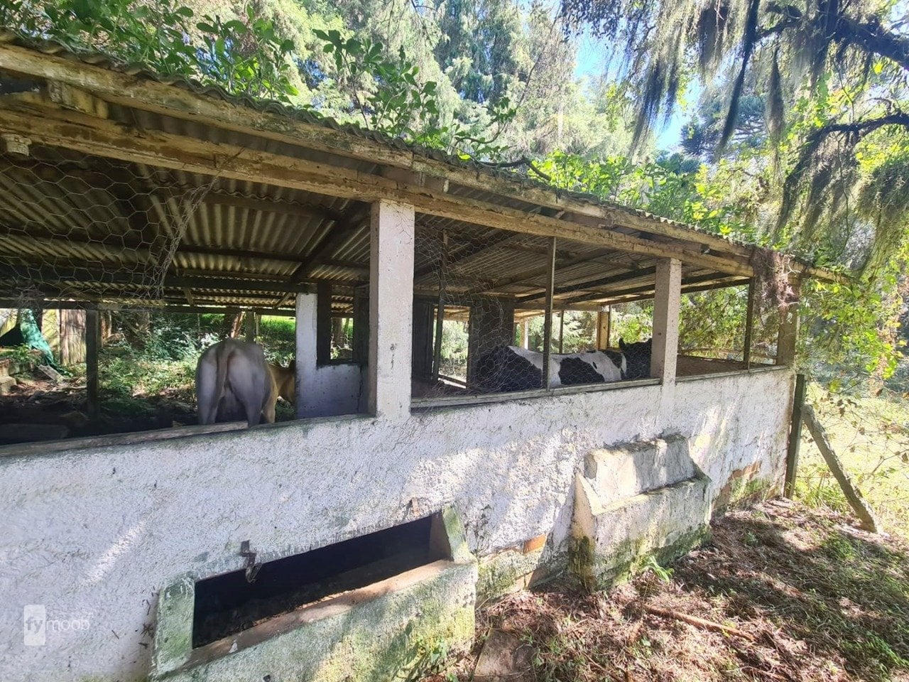 Foto do Chácara com 2 quartos no Campina das Pedras, Curitiba - foto 18