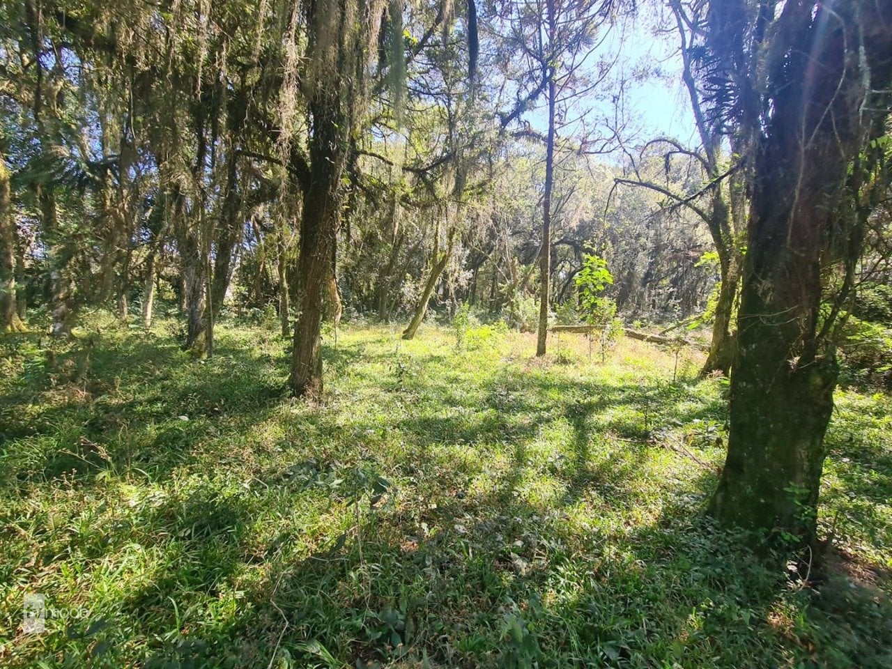 Foto do Chácara com 2 quartos no Campina das Pedras, Curitiba - foto 21