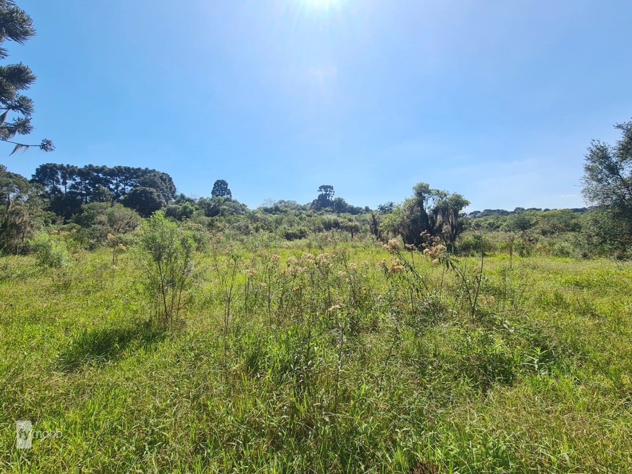 Foto do Chácara com 2 quartos no Campina das Pedras, Curitiba - foto 24