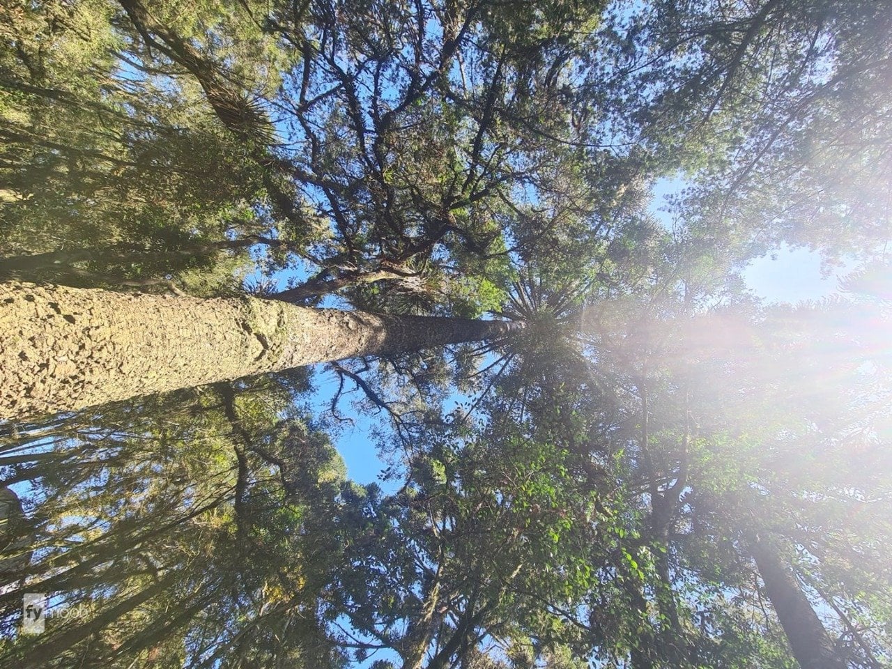 Foto do Chácara com 2 quartos no Campina das Pedras, Curitiba - foto 26