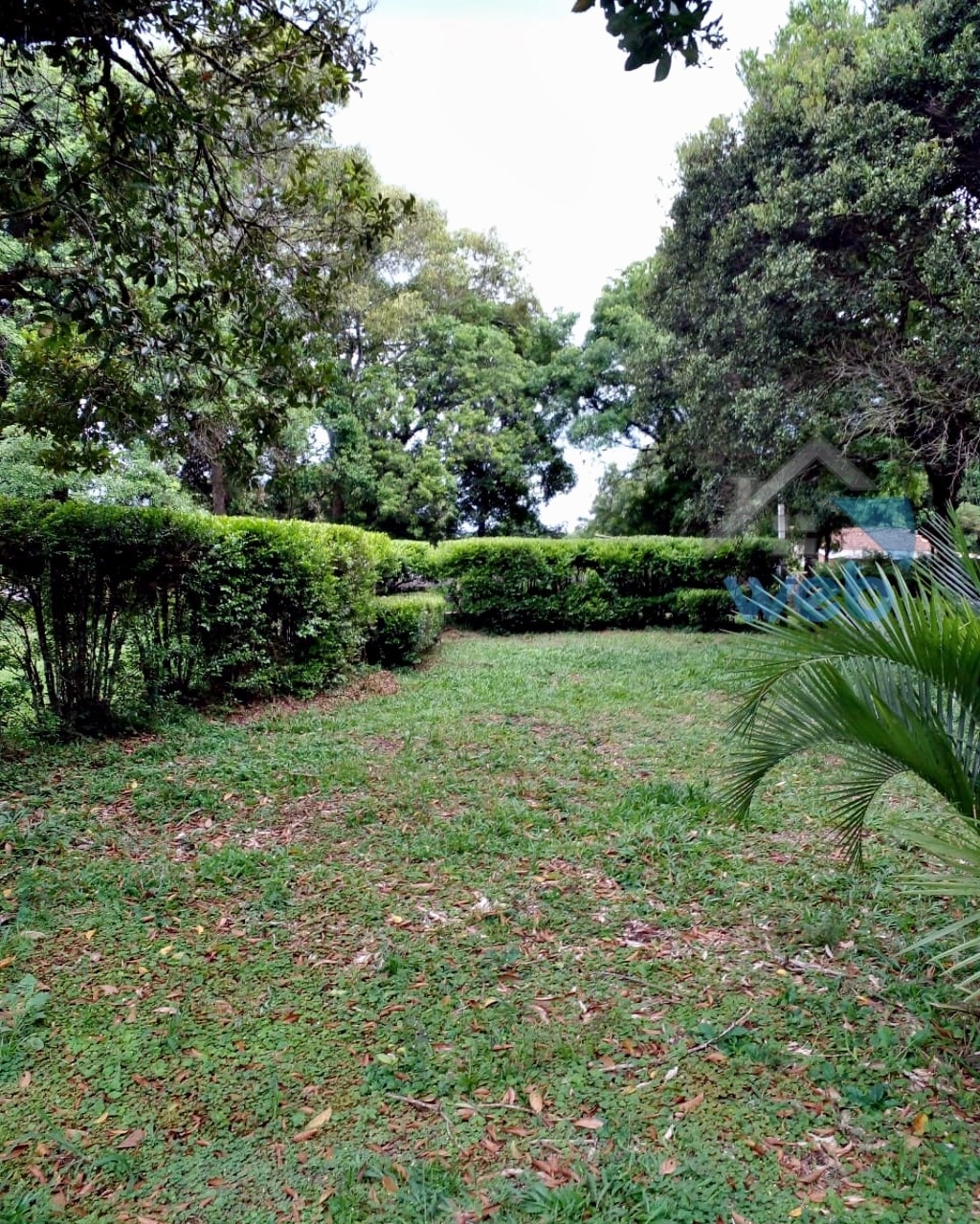 Foto do Chácara com 3 quartos no Povoado do Boa Vista, Curitiba - foto 22