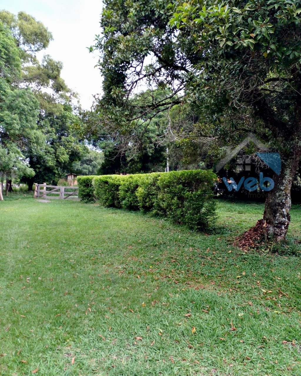 Foto do Chácara com 3 quartos no Povoado do Boa Vista, Curitiba - foto 20