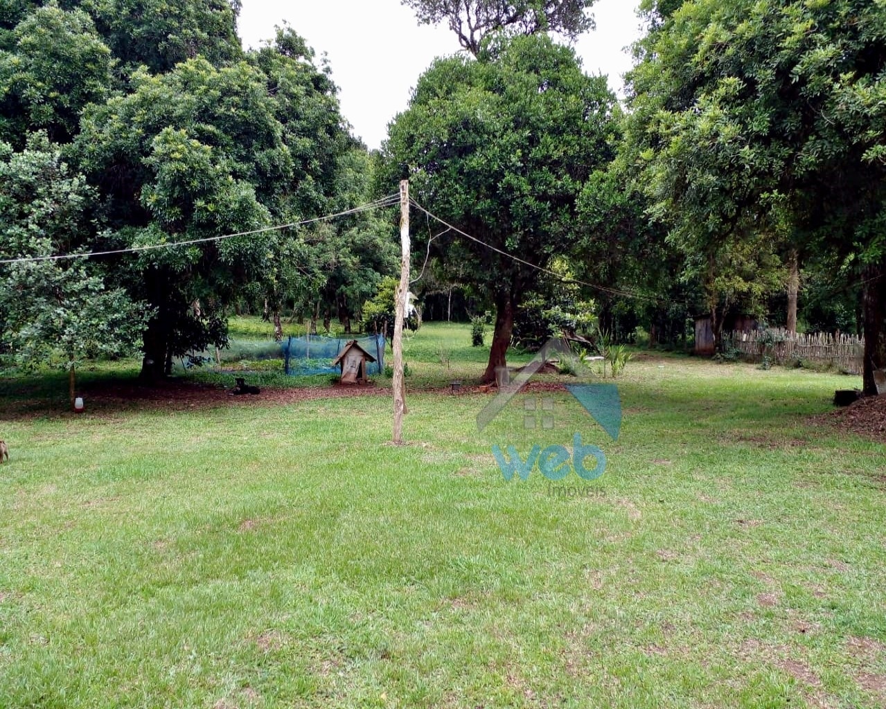 Foto do Chácara com 3 quartos no Povoado do Boa Vista, Curitiba - foto 15
