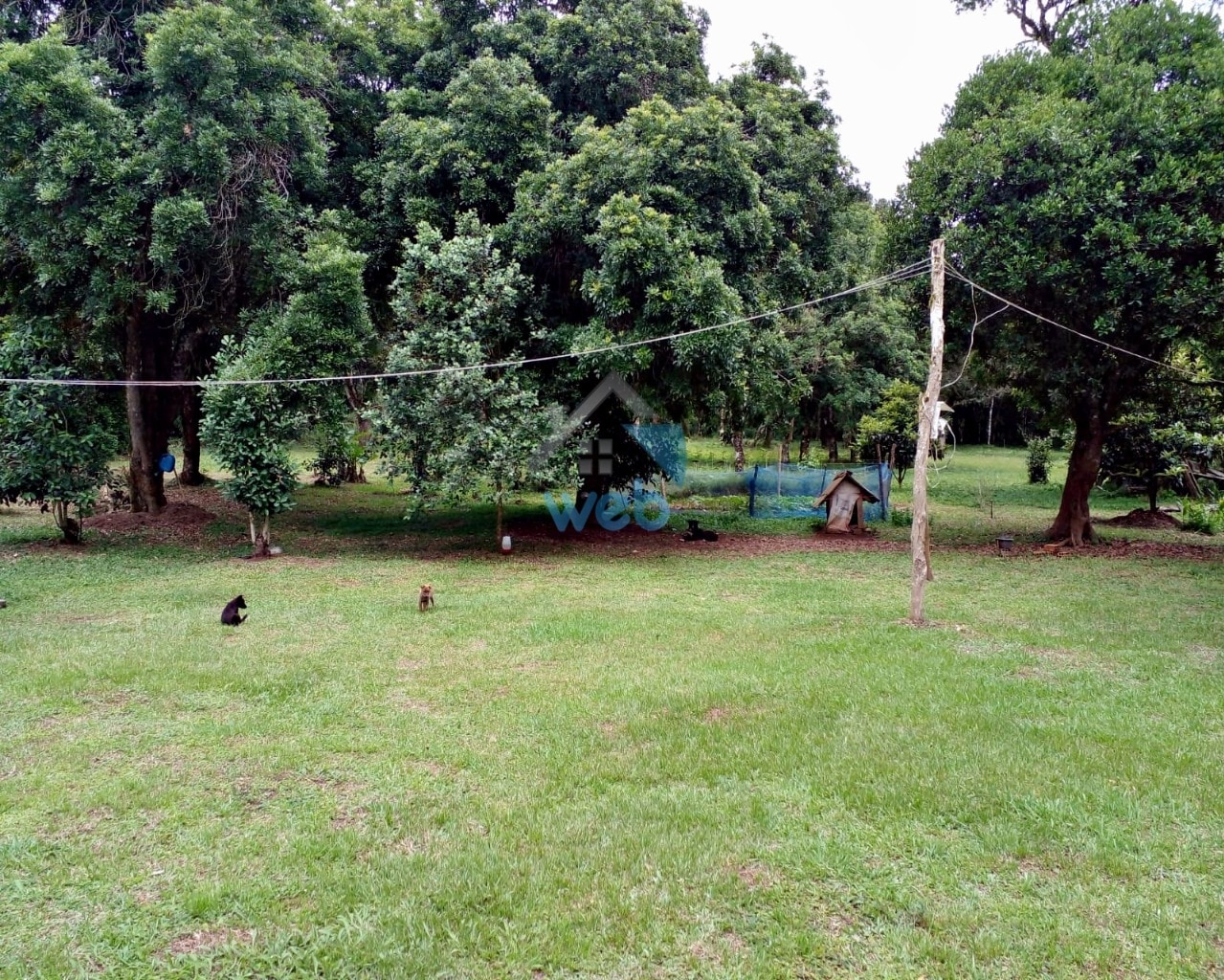 Foto do Chácara com 3 quartos no Povoado do Boa Vista, Curitiba - foto 17