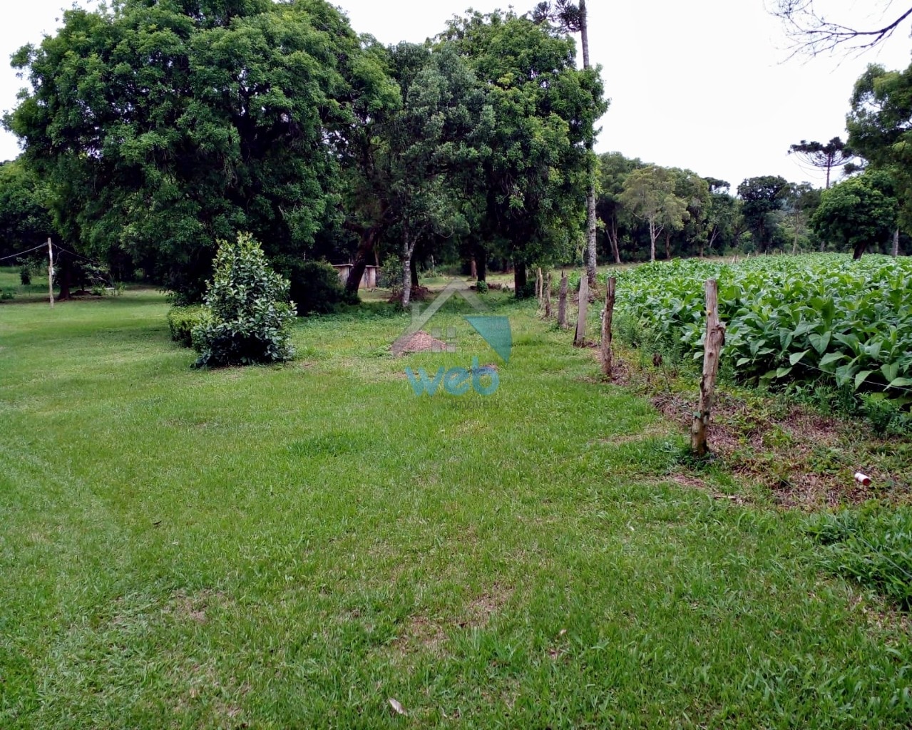 Foto do Chácara com 3 quartos no Povoado do Boa Vista, Curitiba - foto 14