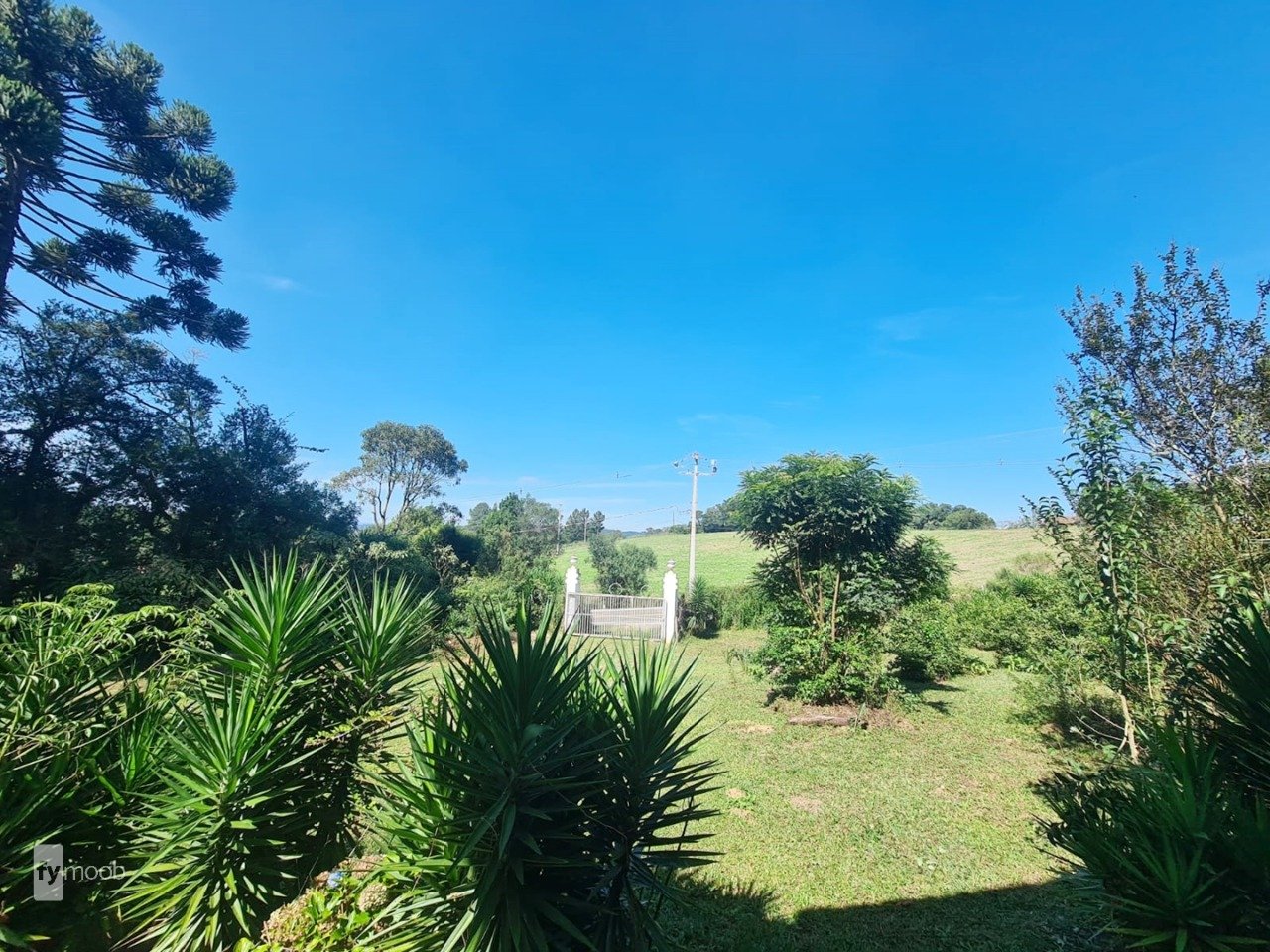 Foto do Chácara com 2 quartos no Campina das Pedras, Curitiba - foto 7