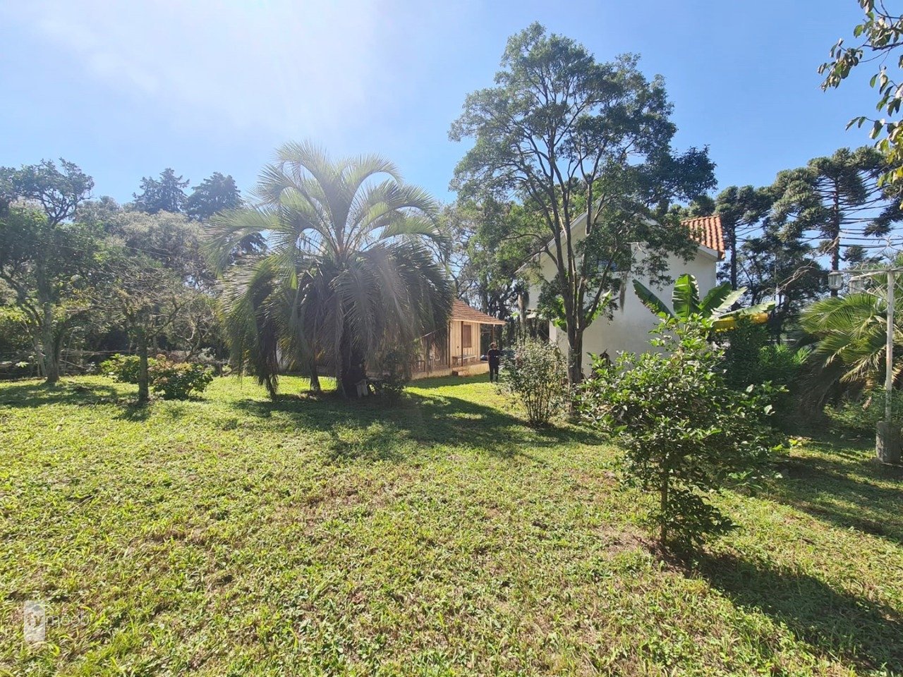 Foto do Chácara com 2 quartos no Campina das Pedras, Curitiba - foto 11