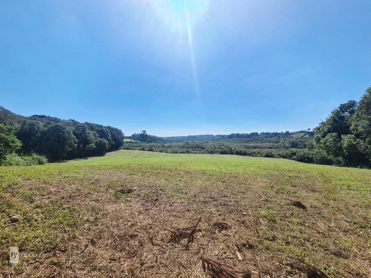 Foto do Chácara com 2 quartos no Campina das Pedras, Curitiba - foto 17