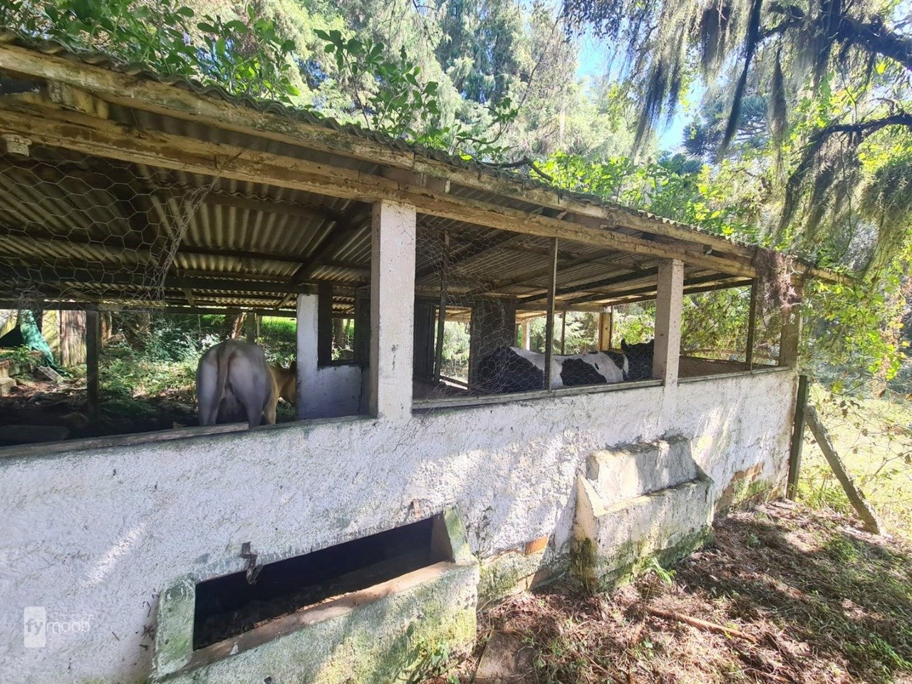 Foto do Chácara com 2 quartos no Campina das Pedras, Curitiba - foto 18