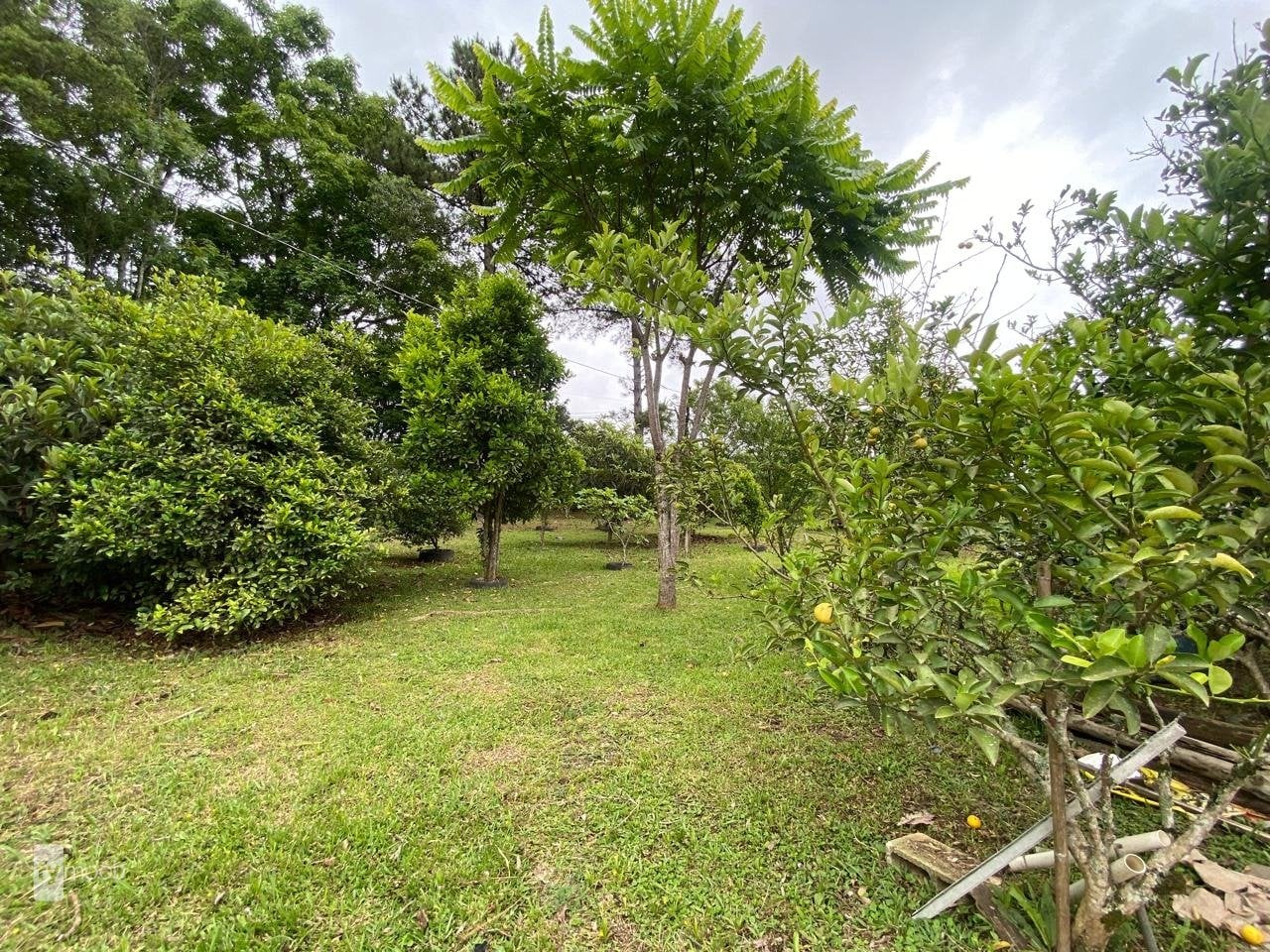 Foto do Chácara com 4 quartos no Eucaliptos, Curitiba - foto 3