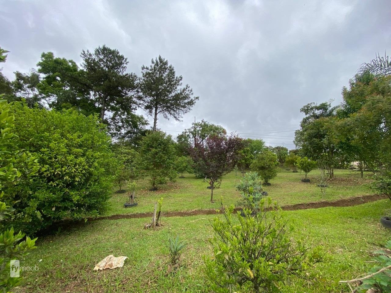 Foto do Chácara com 4 quartos no Eucaliptos, Curitiba - foto 18