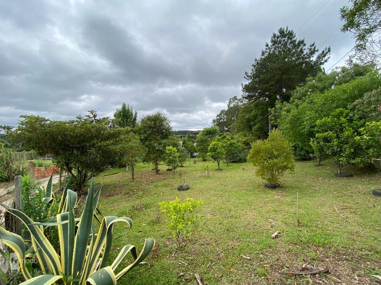 Foto do Chácara com 4 quartos no Eucaliptos, Curitiba - foto 4