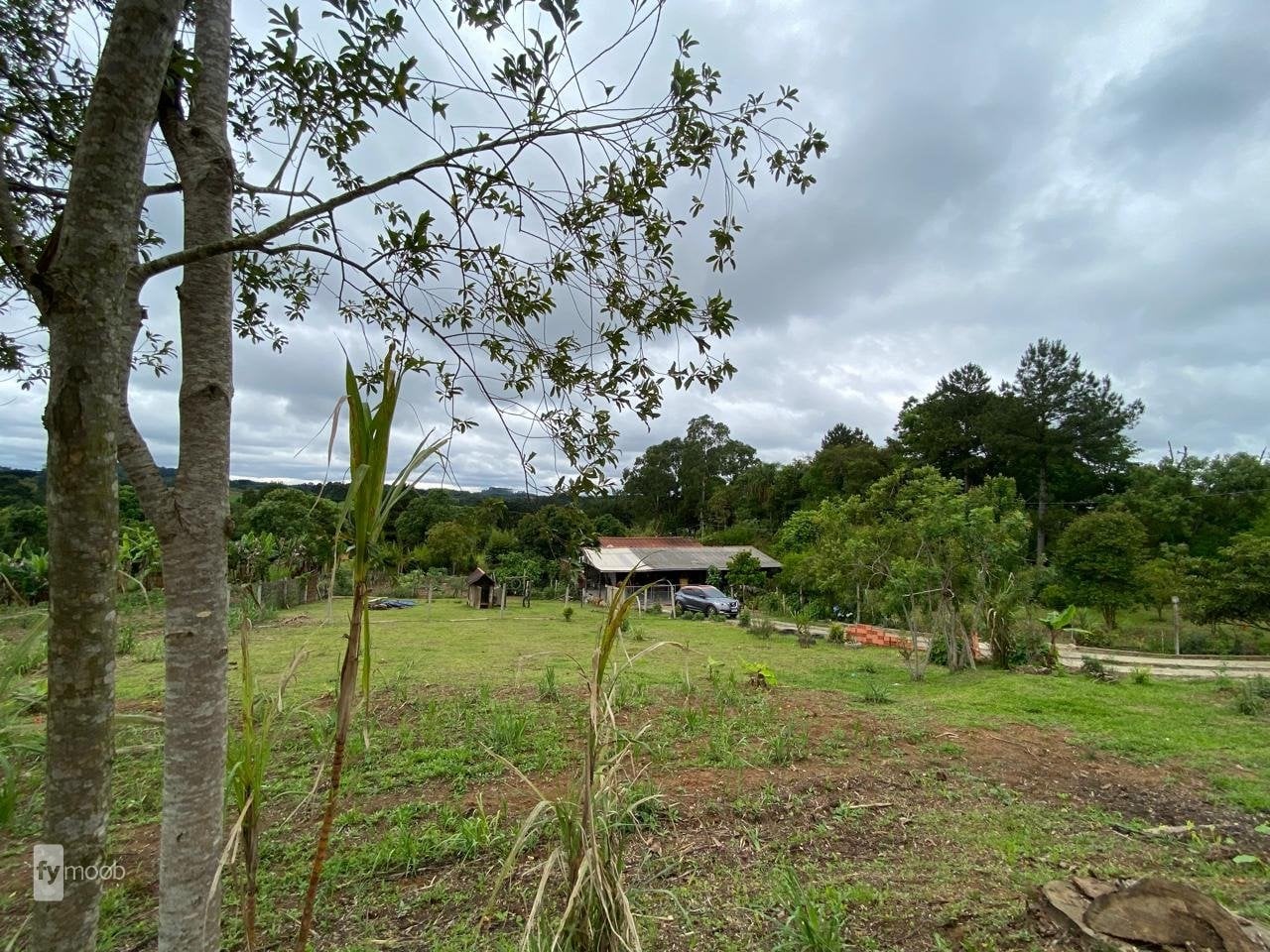 Foto do Chácara com 4 quartos no Eucaliptos, Curitiba - foto 1