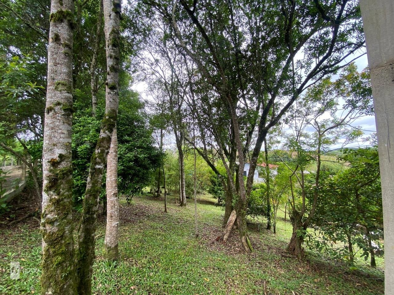 Foto do Chácara com 4 quartos no Eucaliptos, Curitiba - foto 21