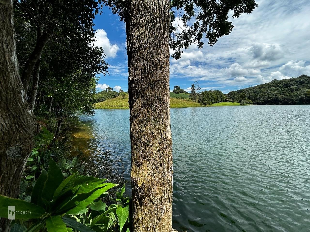 Foto do Chácara com 2 quartos no Vila David Antônio, Curitiba - foto 29