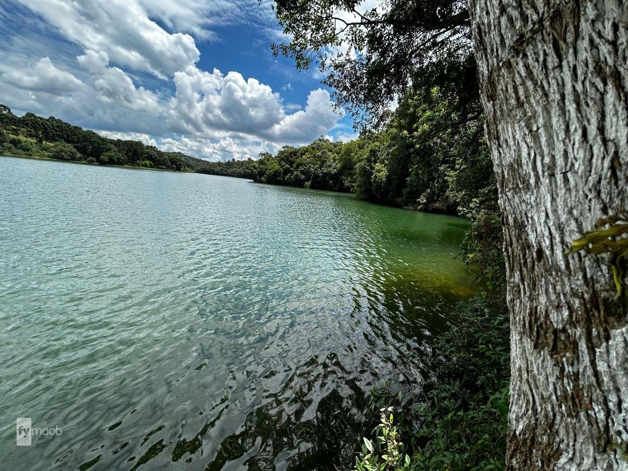 Foto do Chácara com 2 quartos no Vila David Antônio, Curitiba - foto 31