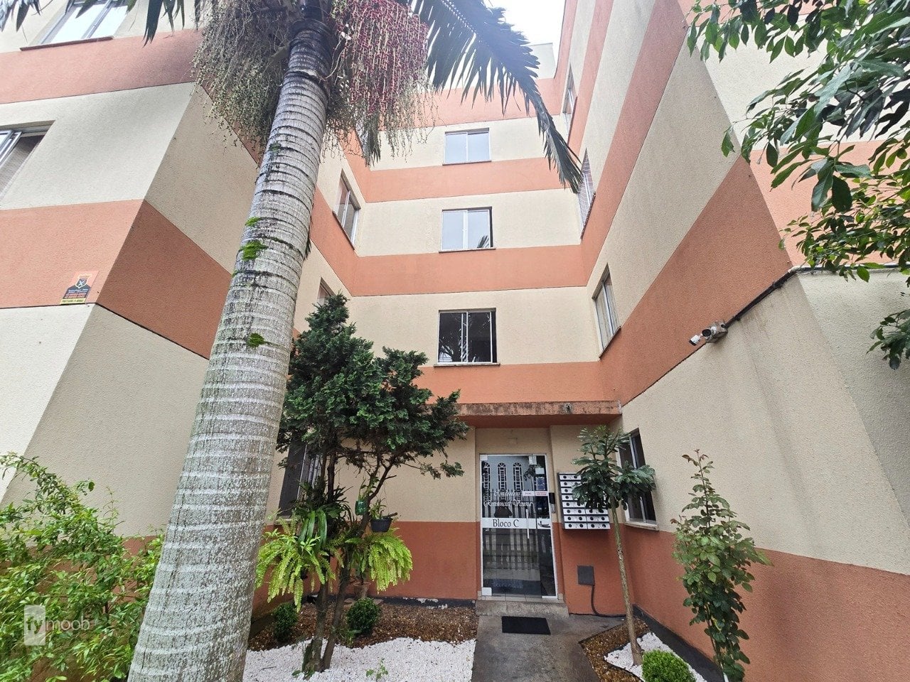 Foto do Apartamento com 2 quartos no Sítio Cercado, Curitiba - foto 3