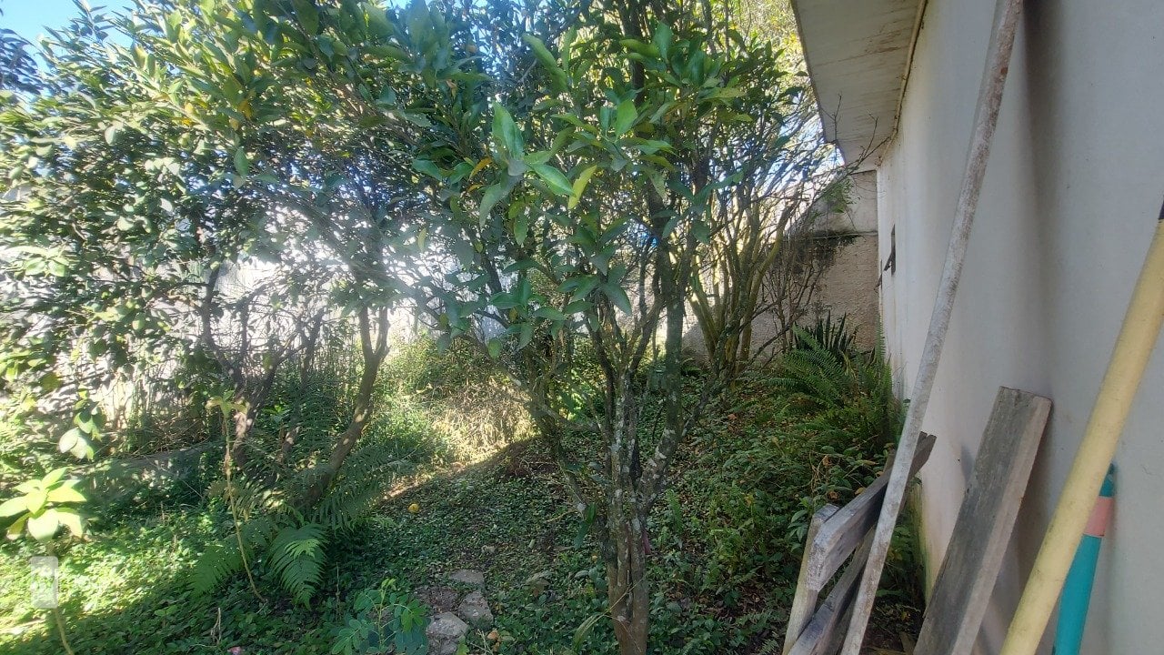 Foto do Casa com 2 quartos no Guatupê, Curitiba - foto 47