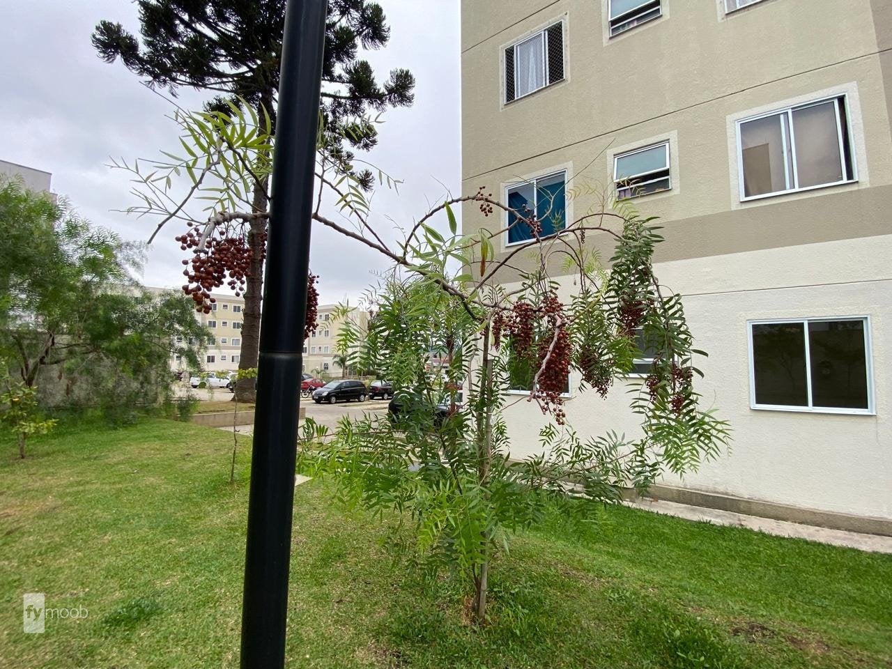 Foto do Apartamento com 2 quartos no Capela Velha, Curitiba - foto 2