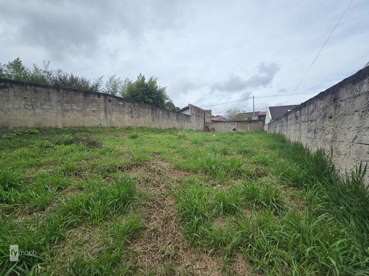 Foto do Terreno no Santa Terezinha, Curitiba - foto 4